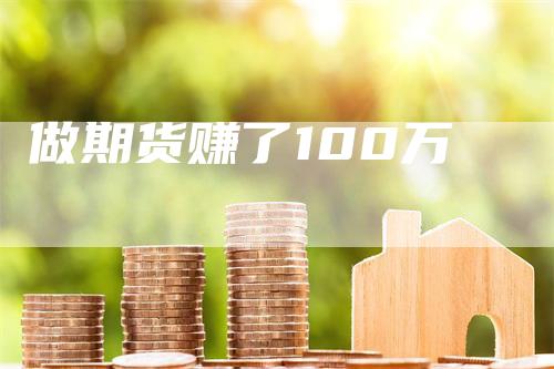 做期货赚了100万