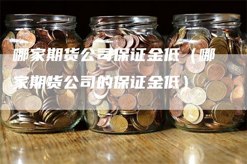 哪家期货公司保证金低（哪家期货公司的保证金低）