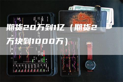 期货20万到1亿（期货2万块到1000万）