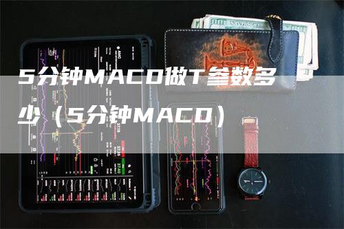 5分钟MACD做T参数多少（5分钟MACD）