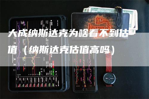 大成纳斯达克为啥看不到估值（纳斯达克估值高吗）