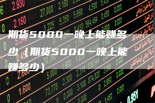 期货5000一晚上能赚多少（期货5000一晚上能赚多少）