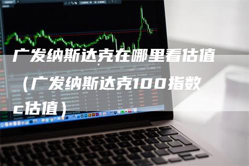 广发纳斯达克在哪里看估值（广发纳斯达克100指数c估值）