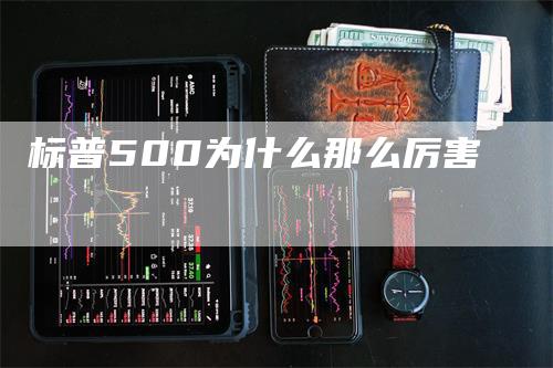 标普500为什么那么厉害