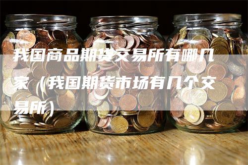 我国商品期货交易所有哪几家（我国期货市场有几个交易所）