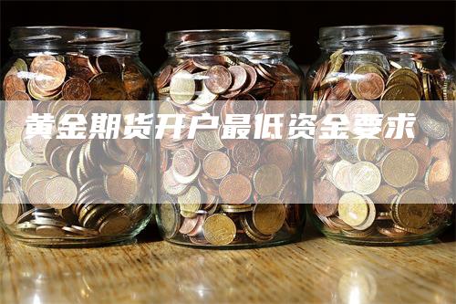 黄金期货开户最低资金要求