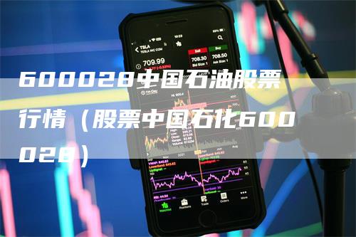 600028中国石油股票行情（股票中国石化600028）