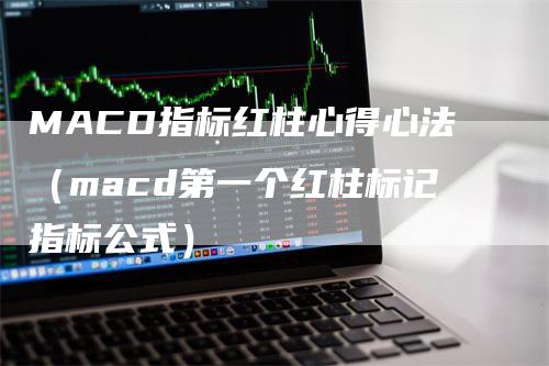 MACD指标红柱心得心法（macd第一个红柱标记指标公式）