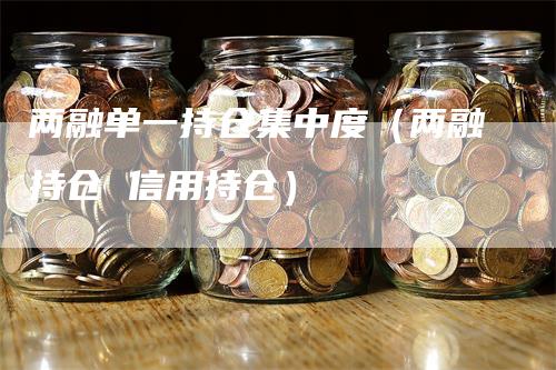 两融单一持仓集中度（两融持仓 信用持仓）