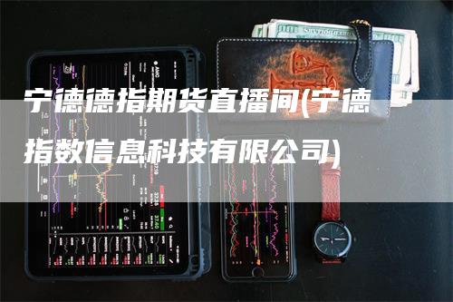 宁德德指期货直播间(宁德指数信息科技有限公司)