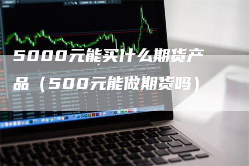 5000元能买什么期货产品（500元能做期货吗）