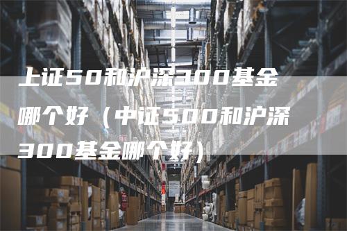 上证50和沪深300基金哪个好（中证500和沪深300基金哪个好）