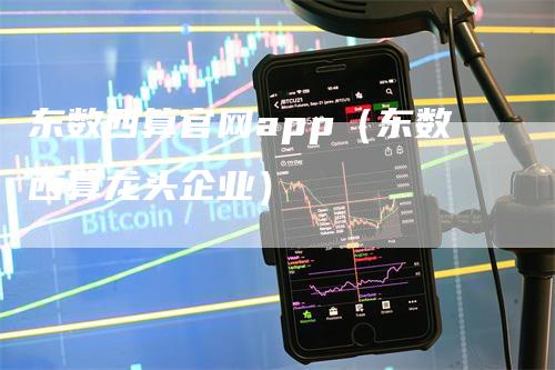 东数西算官网app（东数西算龙头企业）