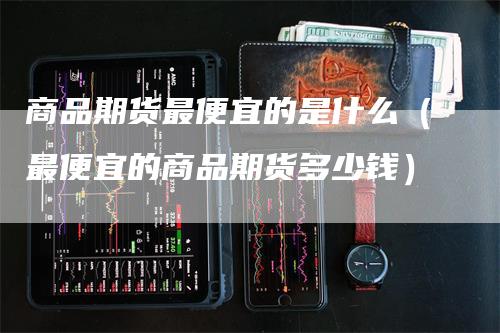 商品期货最便宜的是什么（最便宜的商品期货多少钱）