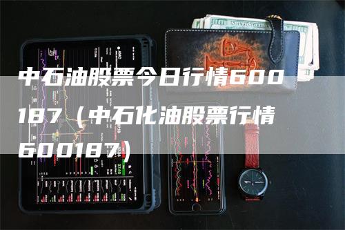 中石油股票今日行情600187（中石化油股票行情600187）