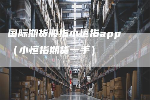 国际期货股指小恒指app（小恒指期货一手）