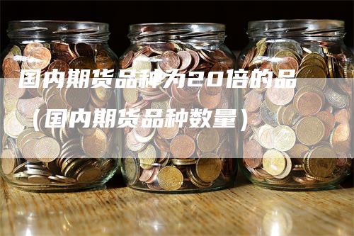 国内期货品种为20倍的品（国内期货品种数量）