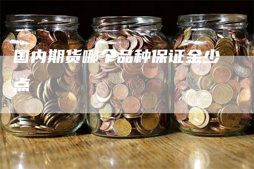 国内期货哪个品种保证金少点