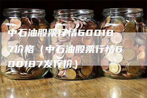 中石油股票行情600187价格（中石油股票行情600187发行价）