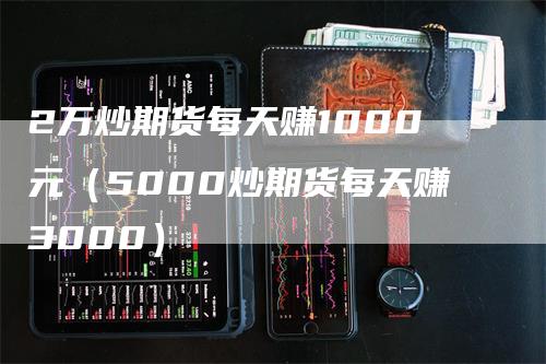 2万炒期货每天赚1000元（5000炒期货每天赚3000）